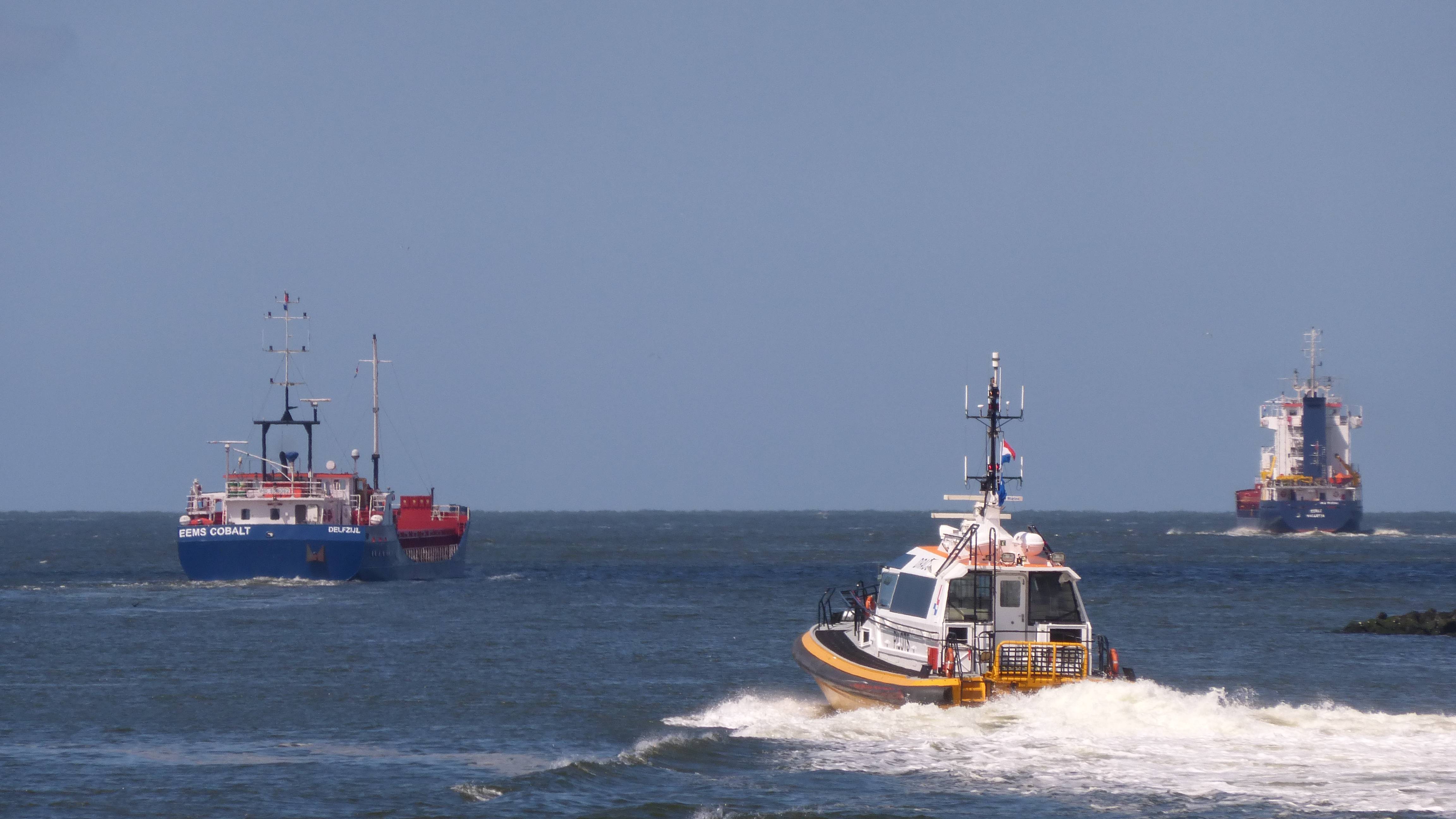 Pieren IJmuiden 03.07.16 